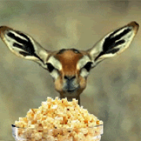 Testy@seattleonly.com