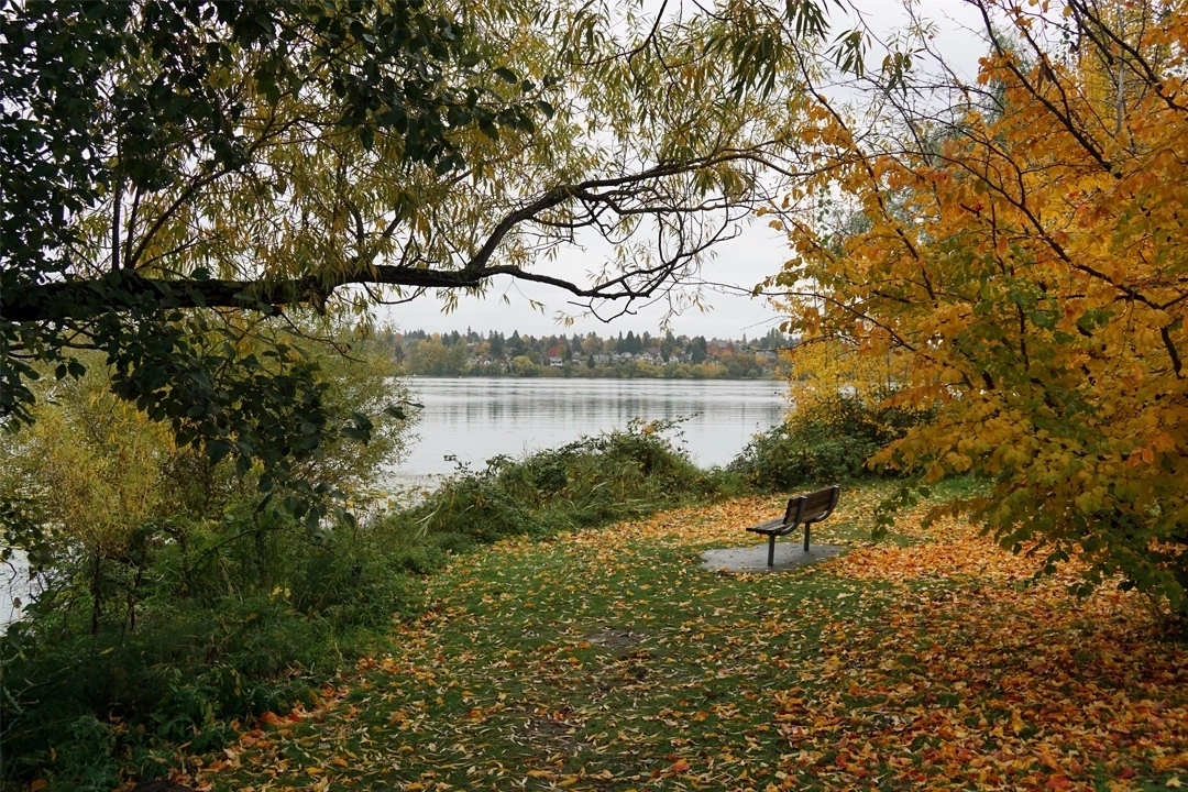 green-lake-north-seattle